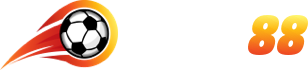 MLV88 COM